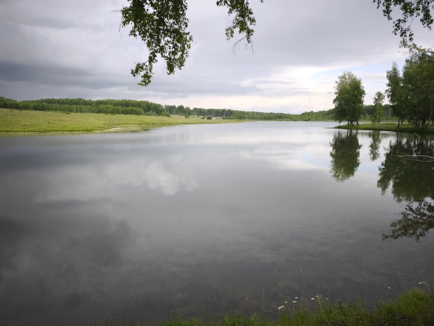 Купить земельный участок в Новосибирске. Вариант № 58749, 14, площадь -  квм, цена 1750000 рублей