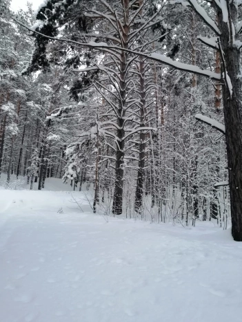 Купить трехкомнатную квартиру на улице Тесла в Новосибирской области. Вариант № 7591648, 9, площадь -  квм, цена 9850000 рублей