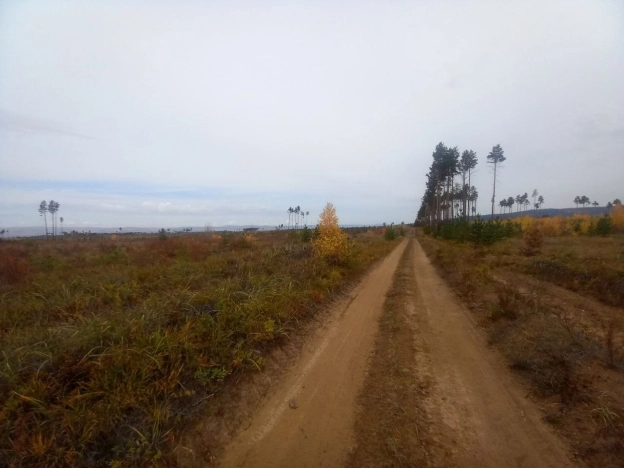 Купить земельный участок в Чите. Вариант № 5312235, 3, площадь -  квм, цена 5000000 рублей