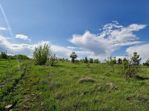 Купить земельный участок в Пензе. Вариант № 19534, 4, площадь -  квм, цена 700000 рублей