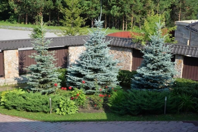 Купить дом у метро Речной вокзал в Новосибирске. Вариант № 6695374, 5, площадь -  квм, цена 43000000 рублей