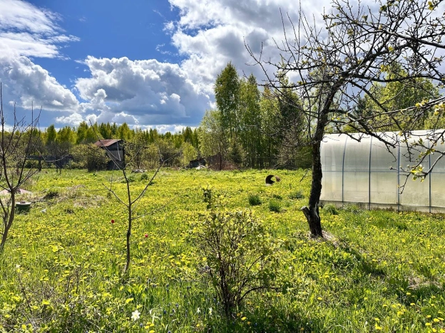 Купить дачу в Коврове. Вариант № 14631, 23, площадь -  квм, цена 550000 рублей