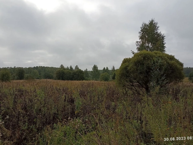 Купить земельный участок в Тульской области. Вариант № 3010, 1, площадь -  квм, цена 190000 рублей