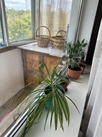 Купить трехкомнатную квартиру в Ростовской области. Вариант № 6912625, 9, площадь -  квм, цена 5800000 рублей