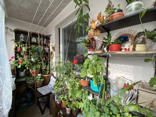 Купить четырехкомнатную квартиру в Калининграде. Вариант № 8129737, 14, площадь -  квм, цена 7799000 рублей