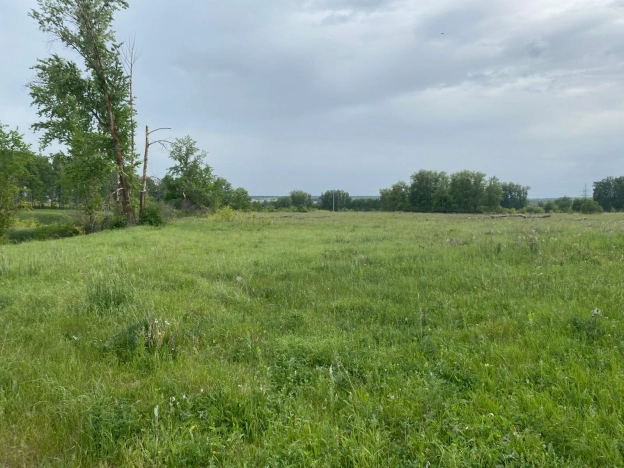 Купить земельный участок на улице 2-й проезд Добролюбова в Пензе. Вариант № 43094, 0, площадь -  квм, цена 2300000 рублей