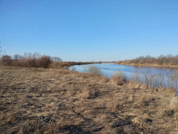 Купить земельный участок в Вязниках. Вариант № 32402, 4, площадь -  квм, цена 340000 рублей