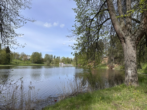 Купить земельный участок в Новгородской области. Вариант № 44811, 10, площадь -  квм, цена 6600000 рублей