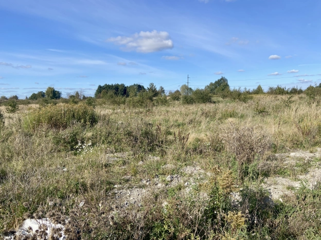 Купить земельный участок в Калининграде. Вариант № 7178657, 1, площадь -  квм, цена 2500000 рублей