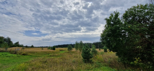 Купить земельный участок на улице 8-я линия в Нижегородской области. Вариант № 5522023, 23, площадь -  квм, цена 7800000 рублей