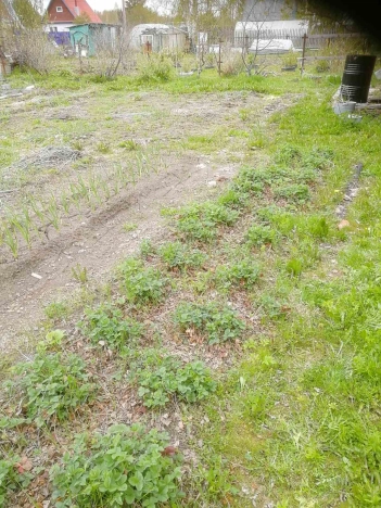 Купить дачу в Тюменской области. Вариант № 1047, 2, площадь -  квм, цена 850000 рублей