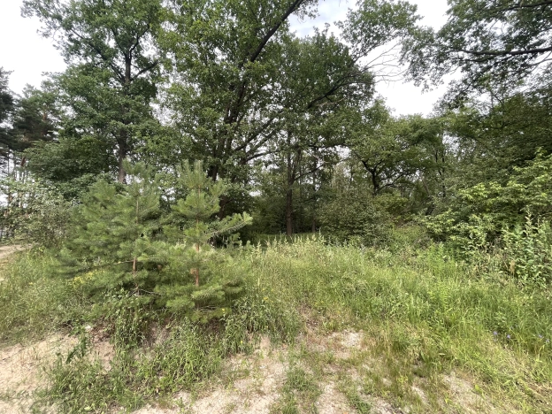 Купить дом в Воронеже. Вариант № 560041, 24, площадь -  квм, цена 16900000 рублей