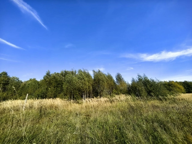 Купить земельный участок в Иванове. Вариант № 7992201, 2, площадь -  квм, цена 1300000 рублей