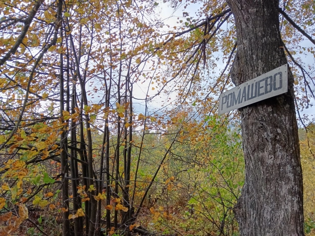 Купить дом в Гороховеце. Вариант № 5752492, 18, площадь -  квм, цена 247000 рублей