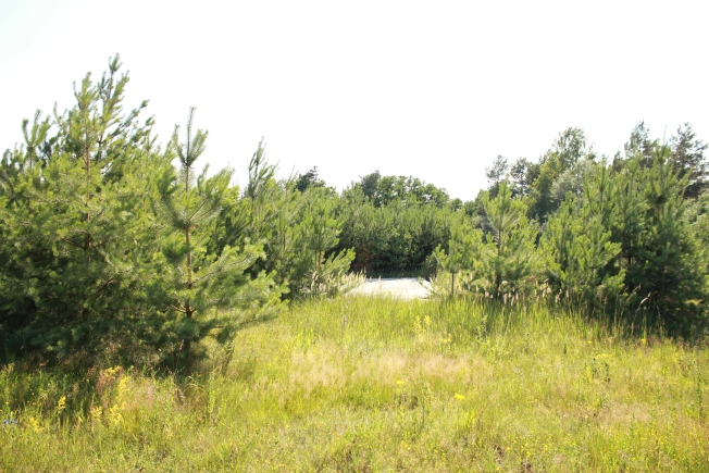 . Вариант № 30977, 20, площадь - 129 квм, цена 7300000 рублей