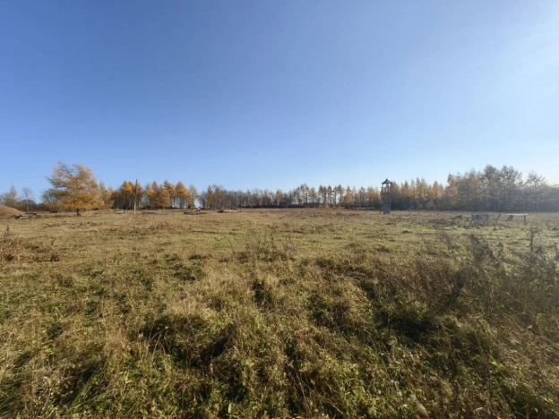 Купить земельный участок в Южно-Сахалинске. Вариант № 8643486, 3, площадь -  квм, цена 500000 рублей