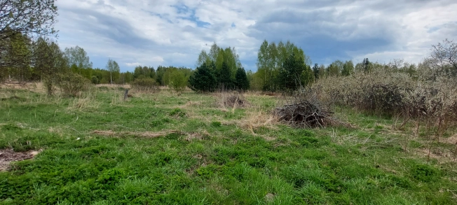 Купить дом в Судогде. Вариант № 43428, 29, площадь -  квм, цена 1410000 рублей