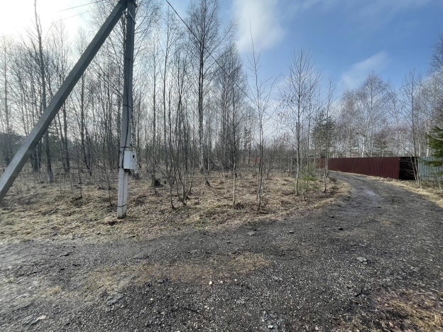 Купить земельный участок в Новгородской области. Вариант № 30069, 3, площадь -  квм, цена 250000 рублей