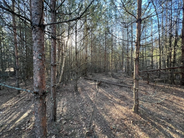 Купить земельный участок в Покрове. Вариант № 28968, 21, площадь -  квм, цена 21500000 рублей