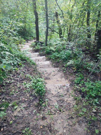 Купить дачу в Москве. Вариант № 7645049, 21, площадь -  квм, цена 4200000 рублей