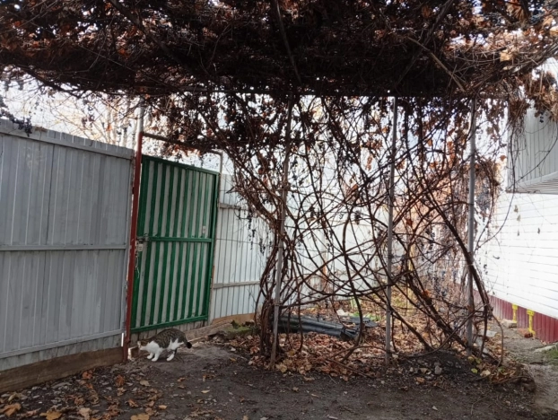 Купить дом в Воронежской области. Вариант № 9458188, 26, площадь -  квм, цена 5500000 рублей