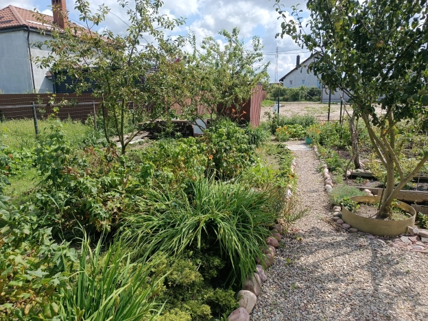 Купить дом в Зеленоградске. Вариант № 60949, 11, площадь -  квм, цена 5500000 рублей