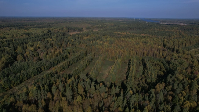 Купить земельный участок в Республике Карелия. Вариант № 13851, 19, площадь -  квм, цена 6000000 рублей