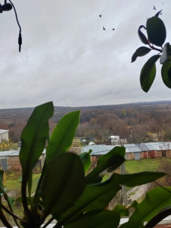 Купить квартиру в районе Фрунзенский в Владимире. Вариант № 8432989, 6, площадь -  квм, цена 1490000 рублей