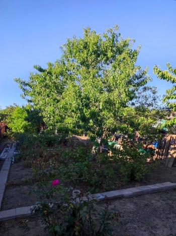 Купить дом на улице Гранатовая в Краснодарском крае. Вариант № 3022834, 13, площадь -  квм, цена 4850000 рублей