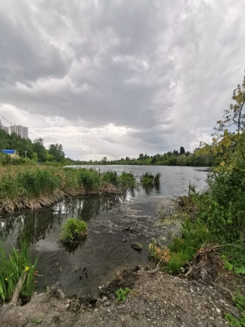 Купить земельный участок в Новосибирске. Вариант № 36095, 9, площадь -  квм, цена 440000 рублей