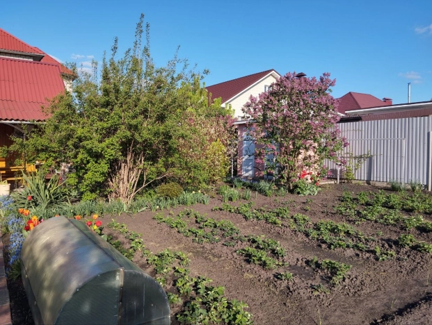 Купить дом в Белгороде. Вариант № 5338, 39, площадь -  квм, цена 13000000 рублей