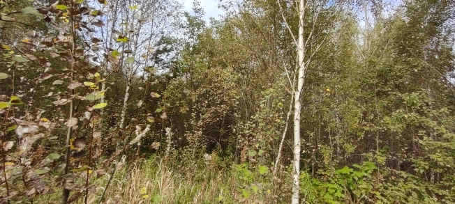 Купить земельный участок на улице Гумбольдта в Тобольске. Вариант № 13015, 9, площадь -  квм, цена 2000000 рублей