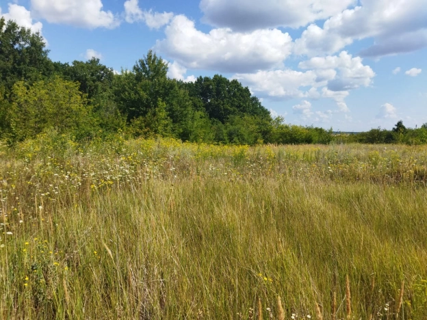 Купить земельный участок на улице Пятилетки в Белгородской области. Вариант № 11209, 2, площадь -  квм, цена 600000 рублей