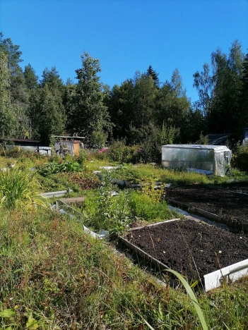 Купить земельный участок в Республике Коми. Вариант № 2839048, 6, площадь -  квм, цена 650000 рублей