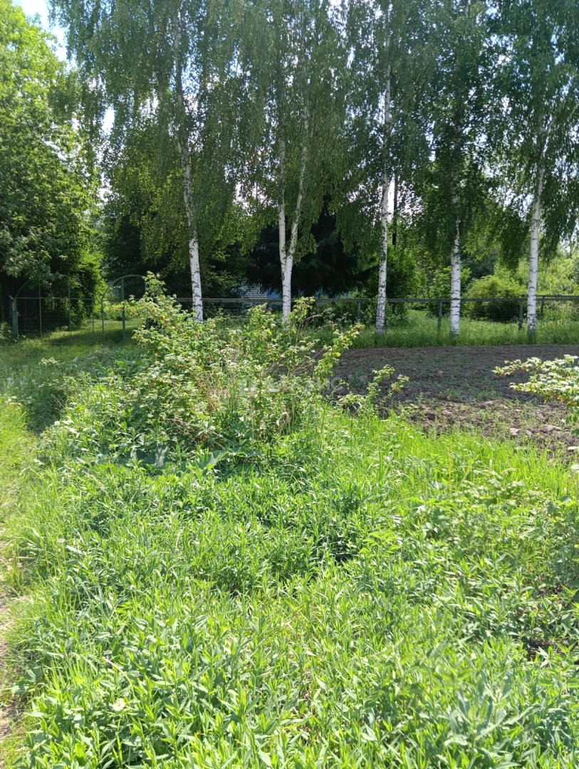 Photo https://36000382-a1c2-4a8a-a109-3fc3bfc73cf7.selcdn.net/App/Entity/ObjectRealty/ObjectRealty/HU/1a398790-38f3-4a36-81c1-f869e874fba8/xFGEYeNpDFWNLOiKp78oUIbugG8VngEIQwHa8RyA.jpg.compressed.webp