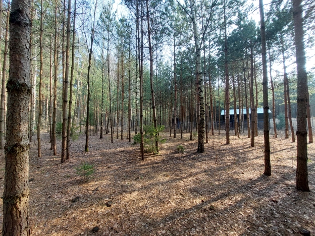 Купить земельный участок в Раменском. Вариант № 33115, 5, площадь -  квм, цена 2500000 рублей