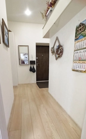 . Вариант № 2876423, 2, площадь - 53 квм, цена 8000000 рублей