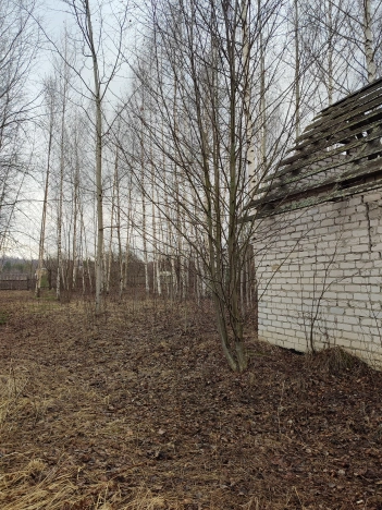 Купить земельный участок в Нижегородской области. Вариант № 31873, 15, площадь -  квм, цена 1150000 рублей