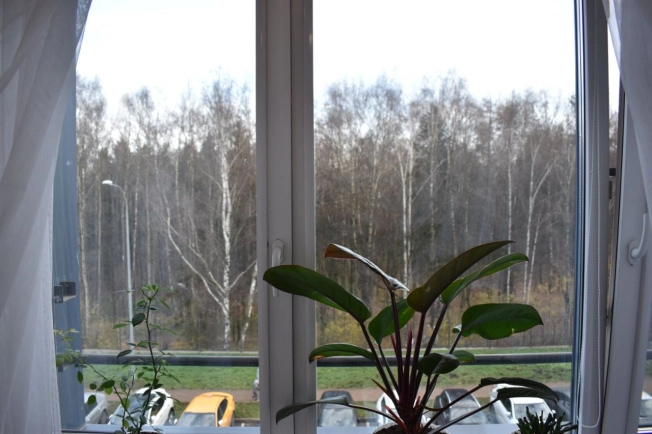 Купить квартиру в Москве. Вариант № 9842913, 15, площадь -  квм, цена 16200000 рублей