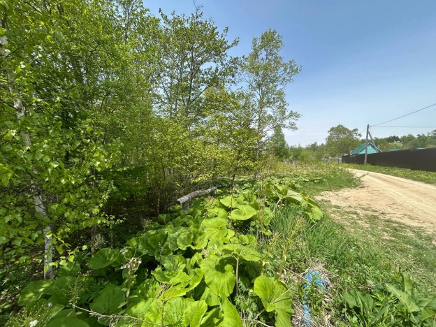 Купить земельный участок в Южно-Сахалинске. Вариант № 41507, 5, площадь -  квм, цена 400000 рублей