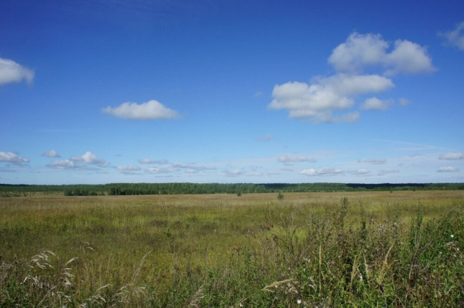 Купить земельный участок в Ярославской области. Вариант № 5832, 2, площадь -  квм, цена 1600000 рублей