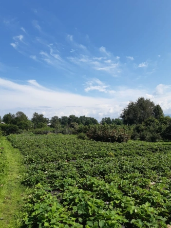 Купить дом в Иркутской области. Вариант № 9799956, 40, площадь -  квм, цена 7000000 рублей