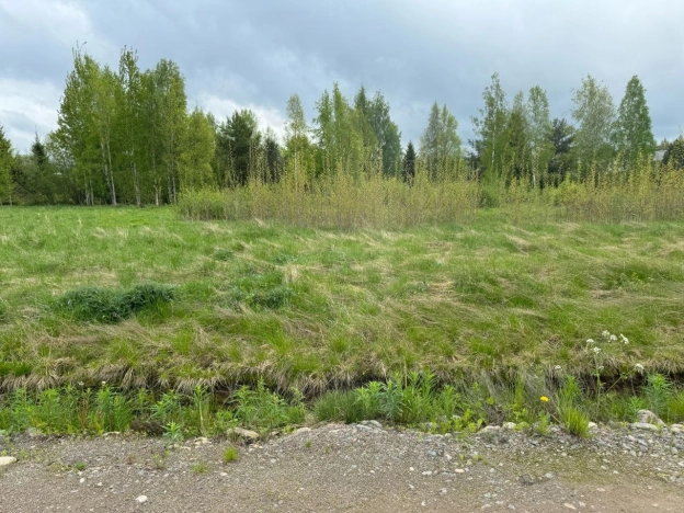 Купить земельный участок в Санкт-Петербурге. Вариант № 2171220, 1, площадь -  квм, цена 850000 рублей