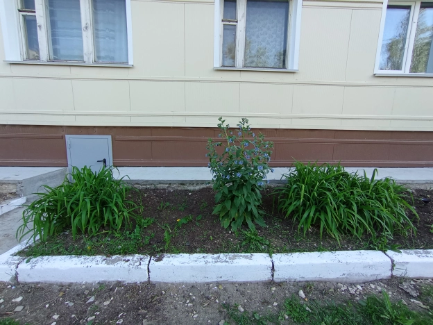 Купить квартиру в Вязниках. Вариант № 8389, 25, площадь -  квм, цена 1600000 рублей