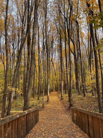 Купить двухкомнатную квартиру на улице Любучанский переулок в Москве. Вариант № 10102849, 24, площадь - квм, цена 15990000 рублей