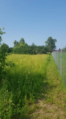 Купить земельный участок в Владимире. Вариант № 1429, 8, площадь -  квм, цена 270000 рублей