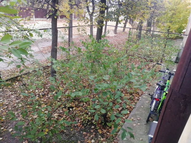 Купить квартиру на улице Муромский проезд в Коврове. Вариант № 10947807, 12, площадь - квм, цена 3600000 рублей