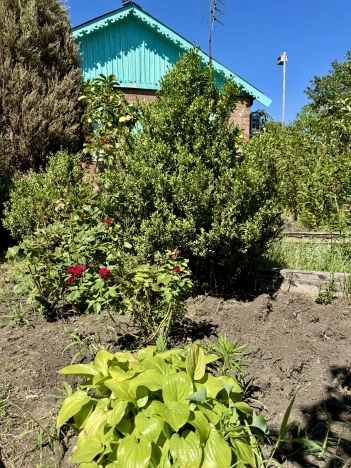 Купить дачу в Краснодарском крае. Вариант № 7638004, 2, площадь -  квм, цена 1950000 рублей