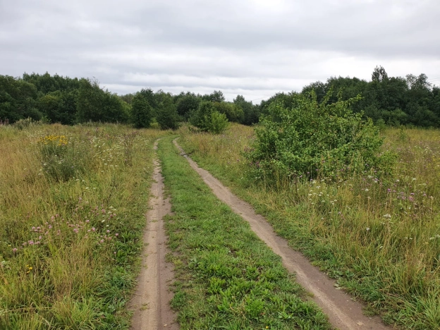 Купить земельный участок на улице Белые Ночи в Вологодской области. Вариант № 5298, 5, площадь -  квм, цена 2800000 рублей