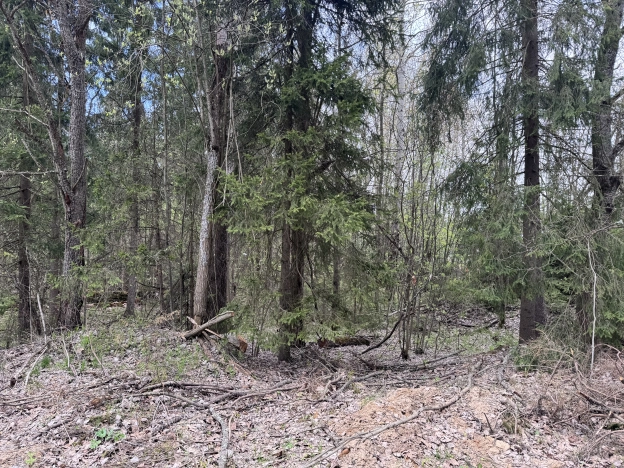 Купить земельный участок в Сергиеве Посаде. Вариант № 39491, 3, площадь -  квм, цена 2700000 рублей